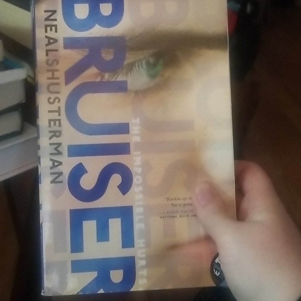 Bruiser book